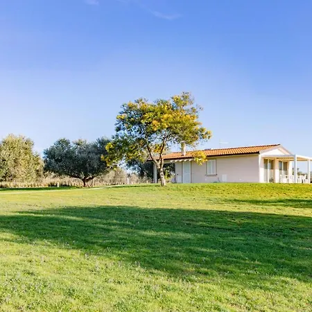 ヴィラ La Perla Tra Gli Ulivi 12, Emma サン·ヴィンチェンツォ