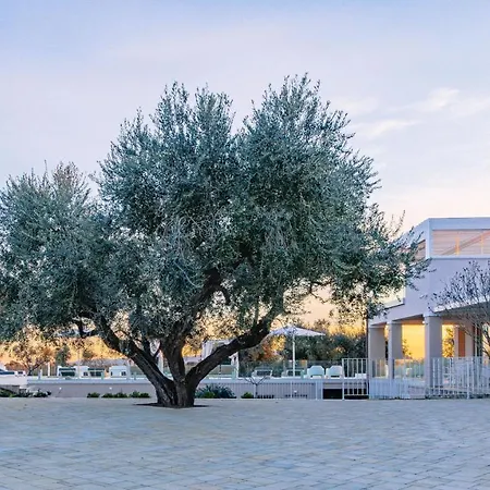 La Perla Tra Gli Ulivi 12, Emma ヴィラ