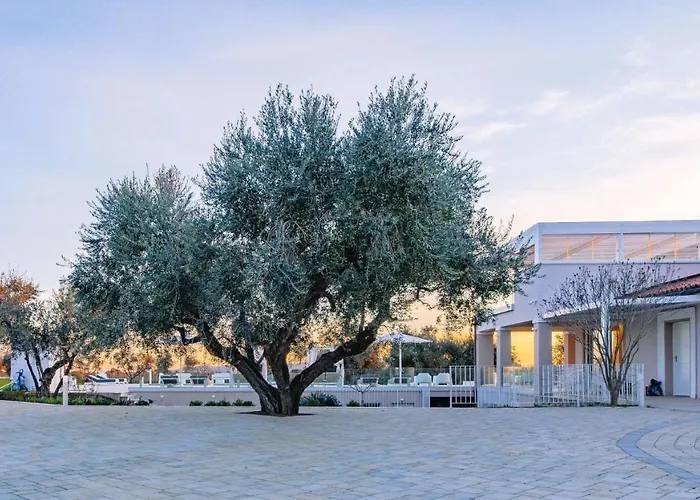 La Perla Tra Gli Ulivi 12, Emma ヴィラ